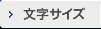 文字サイズ